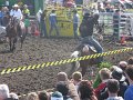 IMG_5978