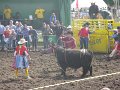 IMG_5983
