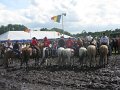 IMG_5985