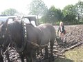IMG_5987