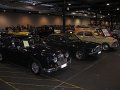 IMG_3929