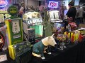 IMG_4020
