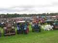 IMG_7351