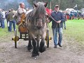 IMG_7381
