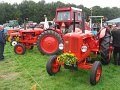 IMG_7537
