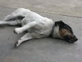 IMG_3898