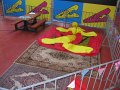 IMG_4309