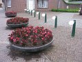 IMG_4023