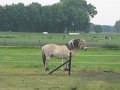 IMG_4079