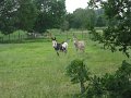 IMG_4080