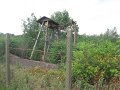 IMG_4173