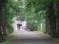 IMG_4237