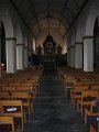 IMG_4239