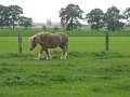IMG_4271
