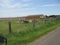 IMG_4295