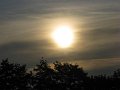 IMG_4365