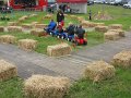 IMG_4501