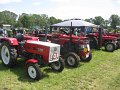 IMG_4594