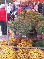 IMG_2113