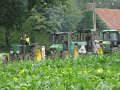 IMG_7990