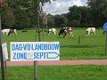 IMG_2409