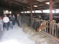 IMG_2440