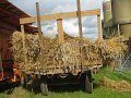 IMG_2459