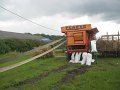 IMG_2485