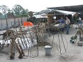 IMG_5029