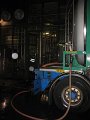 IMG_5619