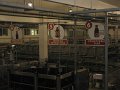 IMG_5634