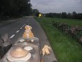 IMG_1213