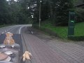 IMG_1222