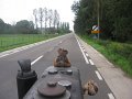 IMG_1223