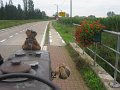 IMG_1227