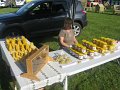 IMG_1301