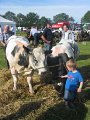 IMG_1319