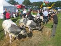 IMG_1322