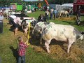 IMG_1323