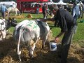 IMG_1324