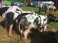 IMG_1325