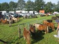 IMG_1330