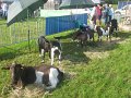 IMG_1337