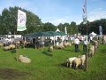 IMG_1338