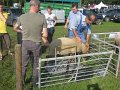 IMG_1340