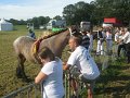 IMG_1343