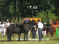 IMG_1349
