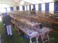 IMG_1351