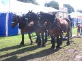 IMG_1354
