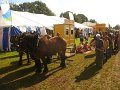 IMG_1356